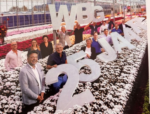 OVK in Westfriese Zaken